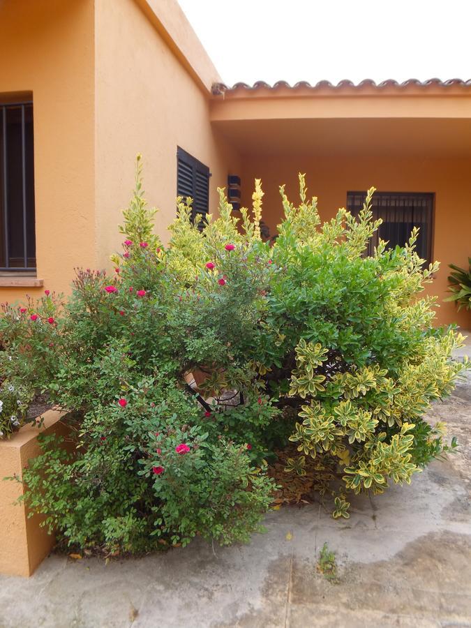 Can Kauf Santa Cristina d'Aro Extérieur photo
